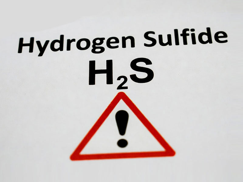 Hydrogen Sulfide: Understanding the Hazard and the Role of an Industrial Escape Hood